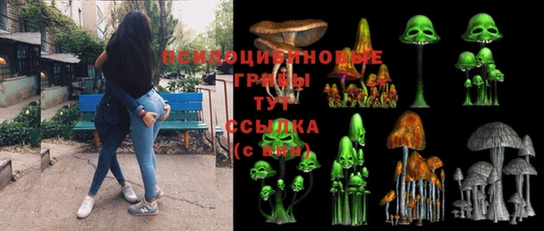 гашик Армянск