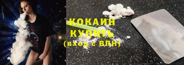 трава Аркадак